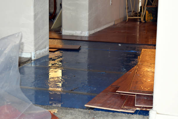 Professional Flood Cleanup technician working in Galena, IL